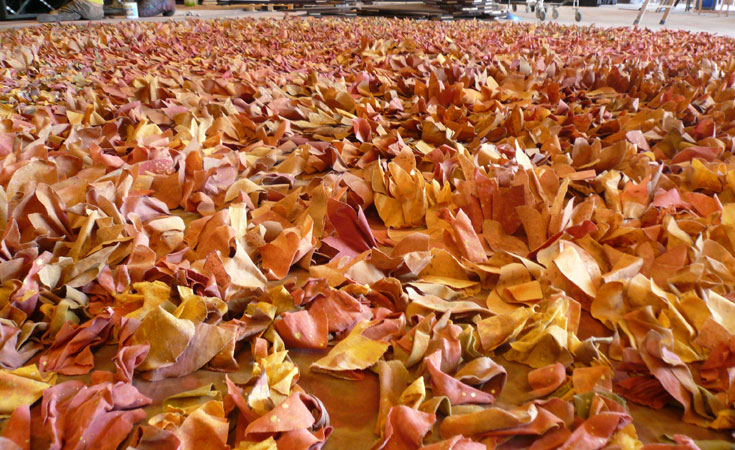 Glorius - Trabajo terminado